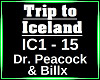 Trip to Iceland