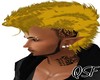 [QSF] Vans Gold Hair