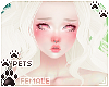[Pets] Quin | Delilah