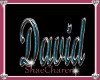 ~S~ David Dance Marker