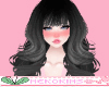 Fern Black Licorice