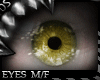 ![DS] iRiS 76 |Eyes M/F