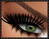 Lashes V 3