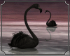Flamingos Animated Black