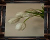 Framed Tulip pic 2