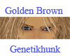 Golden Brown Eyebrows