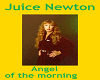 juice newton