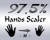 Hands Scaler 97,5%