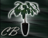>CB< PM Plant 2