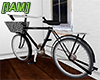 IAM] Classical bicycle