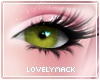 LM | Melody 12