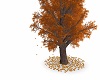 Sweet Autumn Kiss