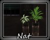 NT Heartbeat Plant 3