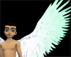 Aqua Angel Wings