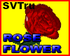 Rose flower 1