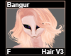 Bangur Hair F V3