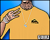 Camisa Quik