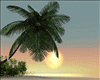 ! Summer Sunset Beach