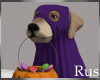 Rus Halloween Dog 2
