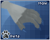 [Pets] Polar | claws