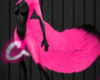Tox Pink/Blk Cat Tail