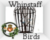 ~QI~ Whipstaff Birds
