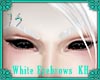 (IS) White Eyesbrows  KH