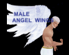 !! MALE ANGEL WINGS