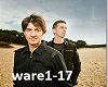 de ware clouseau