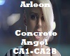 Concrete Angel C Novelli