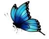 Blue Butterfly1