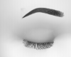 Eyebrows