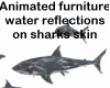 sharks water reflectANI2