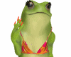 P.D. Summer Frog *