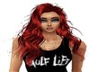 Baillif   RED #2