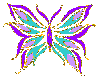 Sparkle Butterfly B n L