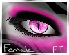 (F) Pink Eyes [FT]
