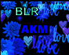 LOVE BLR AKM