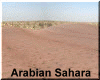 Arabian Sahara