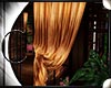 .:C:. Arash gold curtain