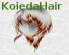 Koieda Hair