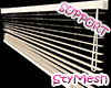 Old Blinds
