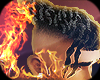 v. $oho [TxN] x HiFade