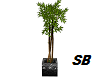 SB* Bamboo Planter