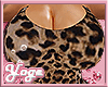 Ỿ | A+ cheetah