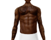 skin + tats v3