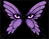 Purple Buttereye wings
