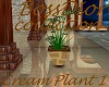 $BD$ Cream Plant 1