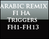 Arabic Remix Fi Ha