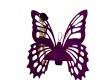 butterfly chair purp/red